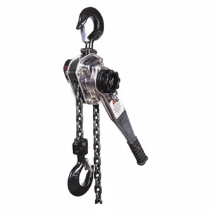 DAYTON 3TP99 Lever Chain Hoist 6600 Lb. 20 Feet Lift | AD2RLM