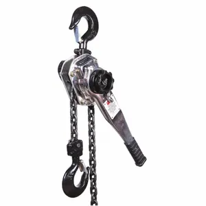 DAYTON 3TR01 Lever Chain Hoist 6600 Lb. 5 Feet Lift | AD2RRX