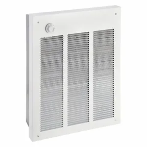 DAYTON 3UG55 Commercial Electric Wall Heater 240 White | AD2UPV