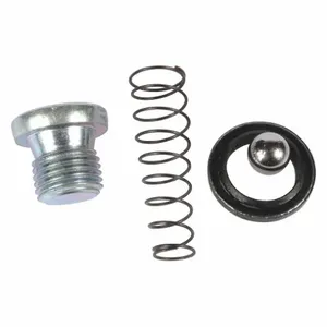 DAYTON 401-44 Check Valve Kit | AH9ZWH 46G688