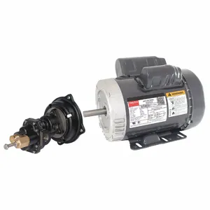 DAYTON 41TK05 Rotary Gear Pump, Close Coupled, 1 HP, 115/230V | CJ3FEF