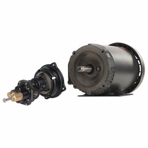 DAYTON 41TK13 Rotary Gear Pump, Close Coupled, 1 HP, 230/460V | CJ3FDV