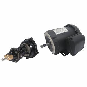 DAYTON 41TK16 Rotary Gear Pump, Close Coupled, 1 1/2 HP, 230/460V | CJ3FEH