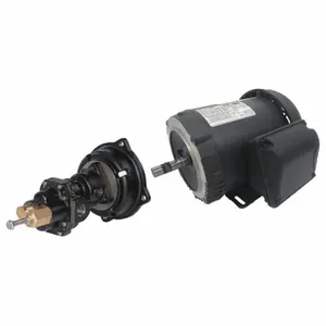 DAYTON 41TK18 Rotary Gear Pump, Close Coupled, 1 1/2 HP, 230/460V | CJ3FEK