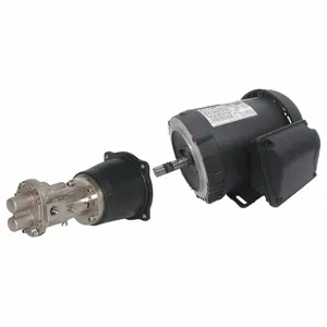 DAYTON 41TK20 Rotary Gear Pump, Close Coupled, 1 1/2 HP, 230/460V | CJ3FEJ