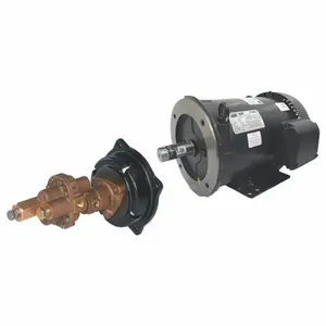 DAYTON 41TK22 Rotary Gear Pump, Close Coupled, 3 HP, 230/460V | CJ3FDZ