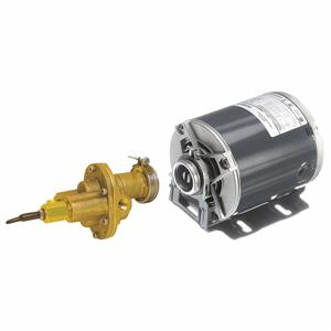 DAYTON 41TK25 Rotary Gear Pump, Carbonator, 1/3 HP, 115/230V | CJ3FDX