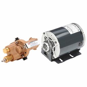 DAYTON 41TK27 Rotary Gear Pump, Carbonator, 1/2 HP, 115/230V | CJ3FED