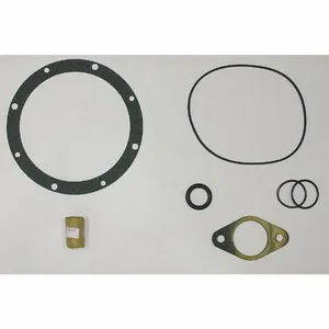 DAYTON 42X487 Shaft Seal Kit | CJ3HPU