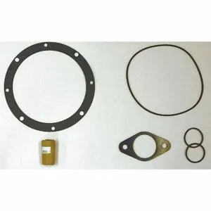 DAYTON 42X489 Shaft Seal Kit | CJ3HPW