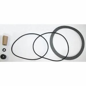 DAYTON 42X491 Shaft Seal Kit | CJ3HPV