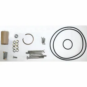 DAYTON 42X493 Shaft Seal Kit | CJ3HPX