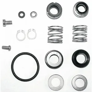 DAYTON 42X495 Shaft Seal Kit | CJ3HPY