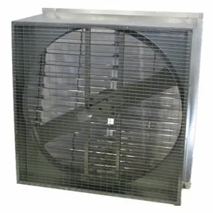 DAYTON 44YU12 Exhaust Fan Slantwall 48 Propeller | AH9UYT