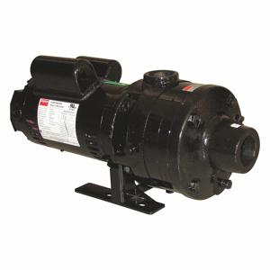 DAYTON 45MW18 Booster Pump, 2 Stages, 1 HP, 120/240V AC, 1-1/2 Inch NPT Inlet Size | CH9RXW