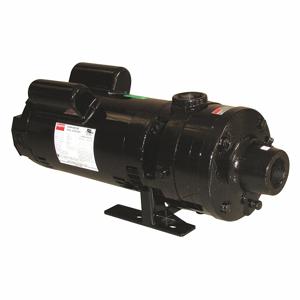 DAYTON 45MW22 Booster Pump, 2 Stages, 1 1/2 HP, 240V AC, 1-1/2 Inch NPT Inlet Size | CH9RXP