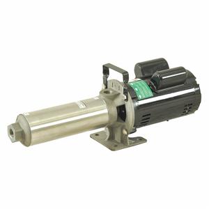 DAYTON 45MW87 Multi-Stage Booster Pump, 12 Stage, 1 HP, 115/230V AC, Stainless Steel | CJ2WQT