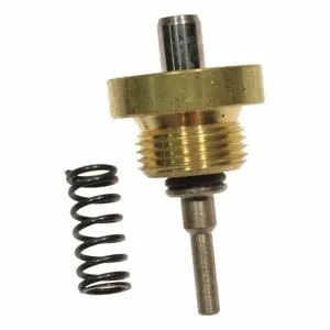 DAYTON 46-38 Release Valve Kit | CJ3DEC 46G309