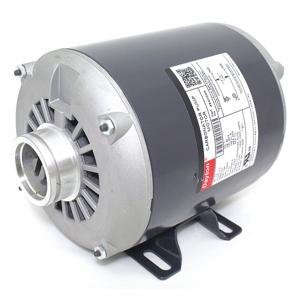 DAYTON 484H29 Karbonator-Pumpenmotor, starre Basismontage, 1/3 PS, 1725 U/min, 115 V AC | CH9UNN