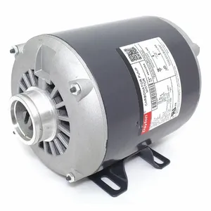 DAYTON 484H29 Carbonator Pump Motor, Rigid Base Mounting, 1/3 HP, 1725 RPM, 115V AC | CH9UNN