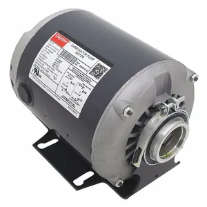 DAYTON 484H31 Carbonator Pump Motor, Cradle Base Mounting, 1/3 HP, 1725 RPM, 120/240V AC | CH9UNM