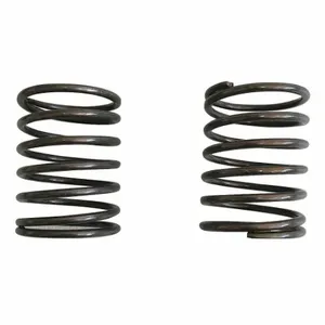 DAYTON 493W06 Limit Spring, 2 PK | CR2XUR