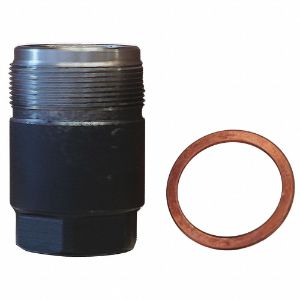 DAYTON 493X24 Silber Pumpenzylinder-Kit, Stahl | CE9GHF