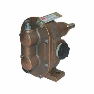 DAYTON 4KHG7 Rotary Gear Pump Head 1/2 Inch 1/3 Hp | AD8HGN