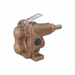 DAYTON 4KHH5 Rotary Gear Pump Head 3/4 Inch 1 Hp | AD8HGW