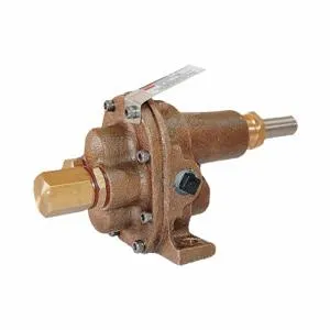 DAYTON 4KHH8 Rotary Gear Pump Head 1/4 Inch 1/4 Hp | AD8HGZ