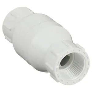 DAYTON 4RG65 Spring Check Valve Pvc 3/4 Inch Fipt | AD9FJX