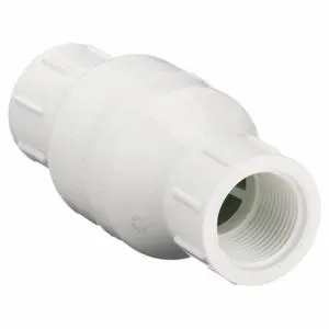 DAYTON 4RG66 Spring Check Valve Pvc 1 Inch Fipt | AD9FJY