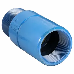 DAYTON 4RK70 Spring Check Valve Ductile Iron 3 Inch | AD9FNU