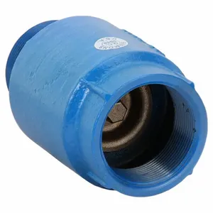 DAYTON 4RK71 Spring Check Valve Ductile Iron 2 Inch | AD9FNV