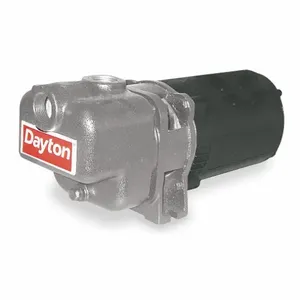 DAYTON 4UA74 Pump 316 Stainless Steel 1 1/2 Hp | AD9PXW