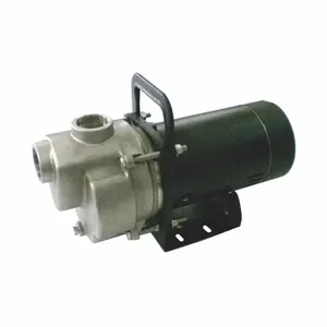 DAYTON 6GPG4 Pump Self Priming Aluminium 1/3 Hp | AE8YZD