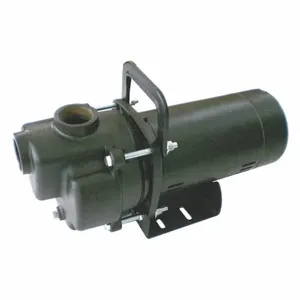 DAYTON 4YKP5 Transfer Pump 1/3 Hp Cast Iron | AE2MXU