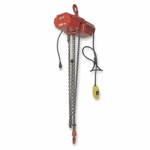 DAYTON 4ZY98 Electric Chain Hoist 800 Lb. 10 Feet | AE2YHZ