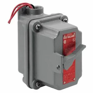 DAYTON 51P801 Disconnect Switch | CJ3PKP 21DU36