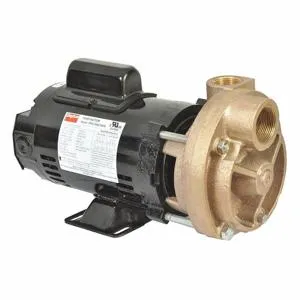 DAYTON 53EA96 Turbine Pump, 3/4 HP, 115/230V | CJ3RFN