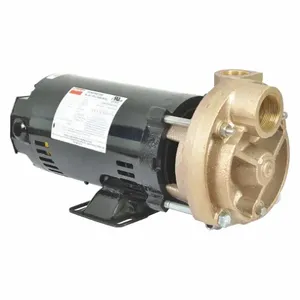 DAYTON 53EA97 Turbine Pump, 3/4 HP, 208-230/460V | CJ3RFZ