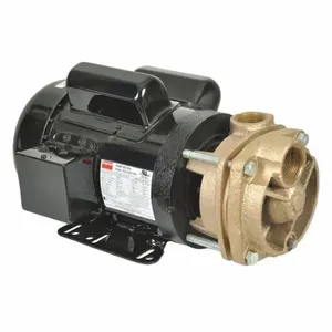 DAYTON 53EA98 Turbine Pump, 1 1/2 HP, 115/208/230V | CJ3RFY