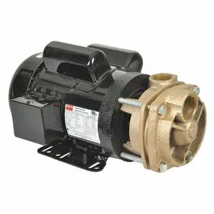 DAYTON 53EC01 Turbine Pump, 2 HP, 115/208/230V | CJ3RGA