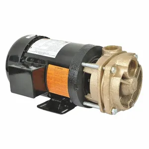 DAYTON 53EC02 Turbine Pump, 2 HP, 230/460V | CJ3RFF