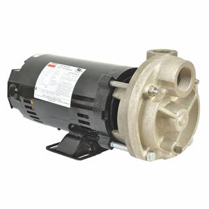 DAYTON 53EC03 Turbinenpumpe, 1/2 PS, 115/230 V | CJ3RFW