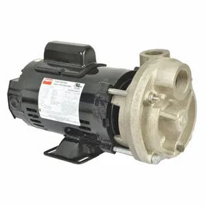 DAYTON 53EC04 Turbine Pump, 3/4 HP, 115/230V | CJ3RGB