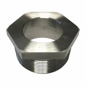 DAYTON 55EC72 Bung Adapter, 304 Stainless Steel | CH9TWW