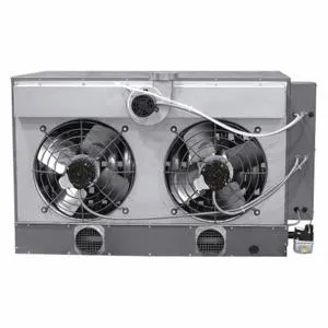 DAYTON 55FG81 Gas Wall And Ceiling Unit Heater, 300000 BtuH Heating Capacity, Propeller, Propane | CJ3VVA