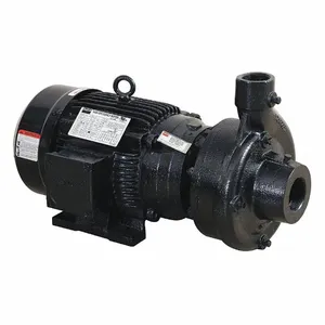 DAYTON 55JJ39 Centrifulgal Pump, 3 HP, 208 to 240/480V AC, 36 psi Max. Pressure | CH9UWE