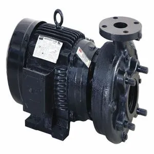 DAYTON 55JJ41 Centrifugal Pump, 3 HP, 2-1/2 Inch Flange Inlet, 2 Inch Flange Outlet, 3 Phase | CH6TCF